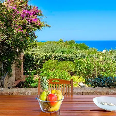 아파트 Vittoria -