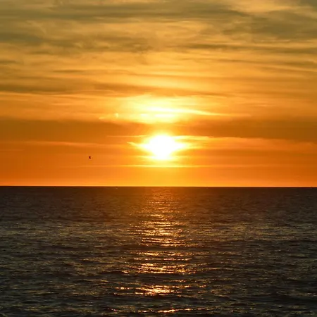 Vittoria - * 코스타 파라디소